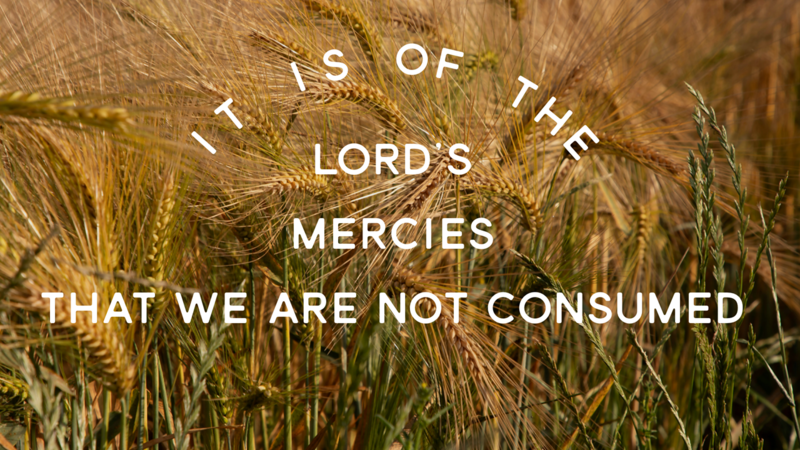 It is of the Lord's Mercies that we are not Consumed