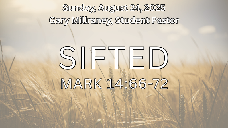 Sifted