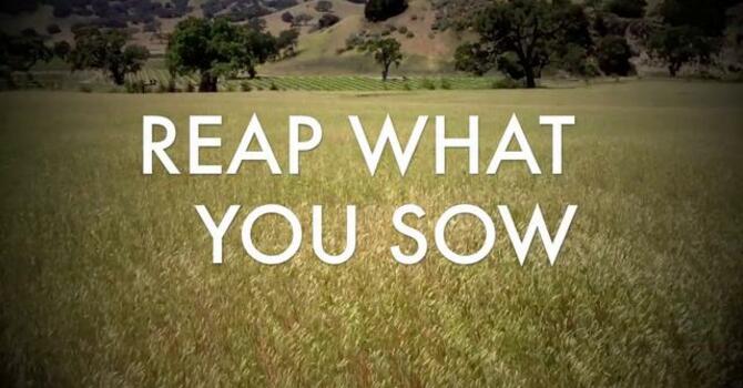 The Law of the Harvest image