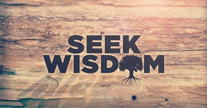 The Value of Seeking Wisdom Early image