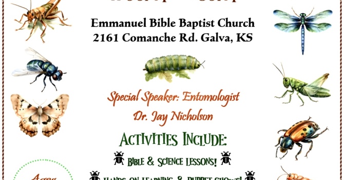 Creepy Crawlers Day Camp