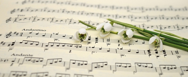 Fall Start Up for Choir