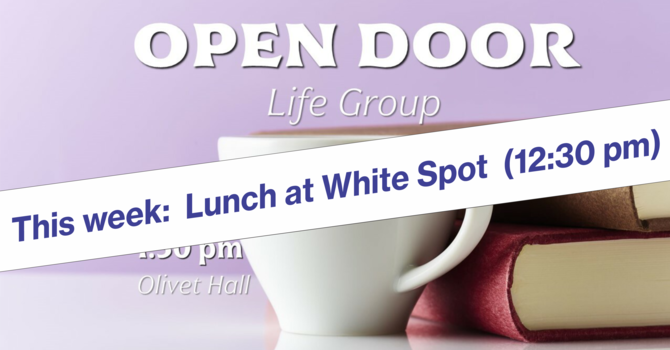OPEN DOOR LIFE GROUP
