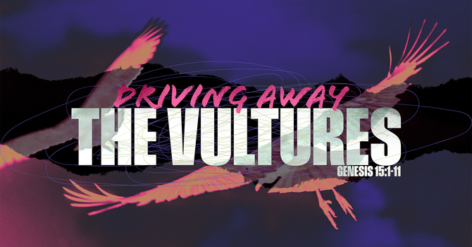Driving Away the Vultures