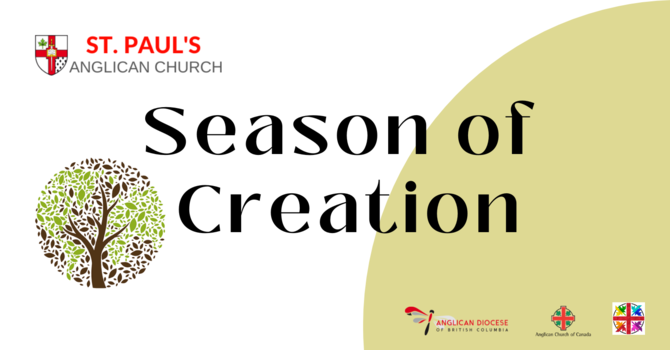 Season of Creation image