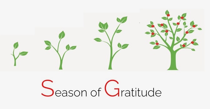 SEASON OF GRATITUDE image