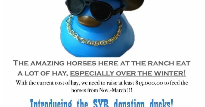 Storm Haven Youth Ranch Donation Ducks image