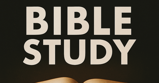 New Adult Bible Classes Start This Sunday!  image