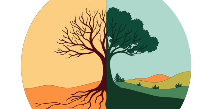 Welcome to the Season of Creation