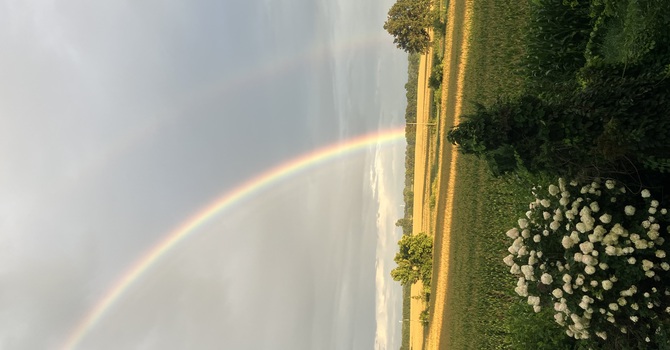 Hope image