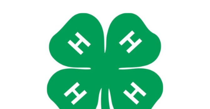 4H Family Camp Fire