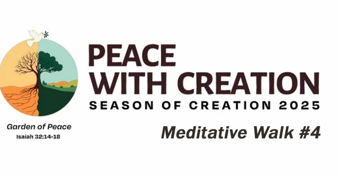 2025 Season of Creation 