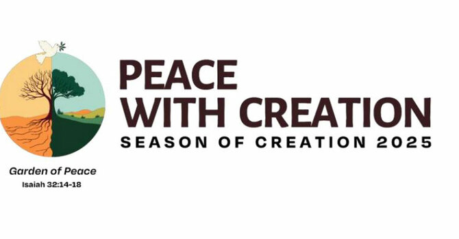 2025 Season of Creation  image