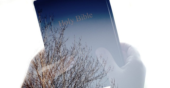 Thursday Bible Study