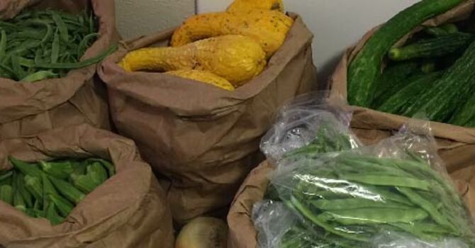 Mulligan Food Pantry