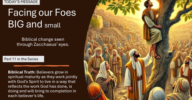 "Biblical Change seen through Zacchaeus' Eyes"
