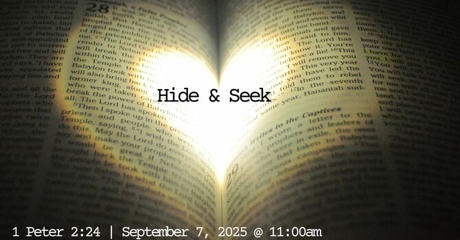 1 Peter 2:24