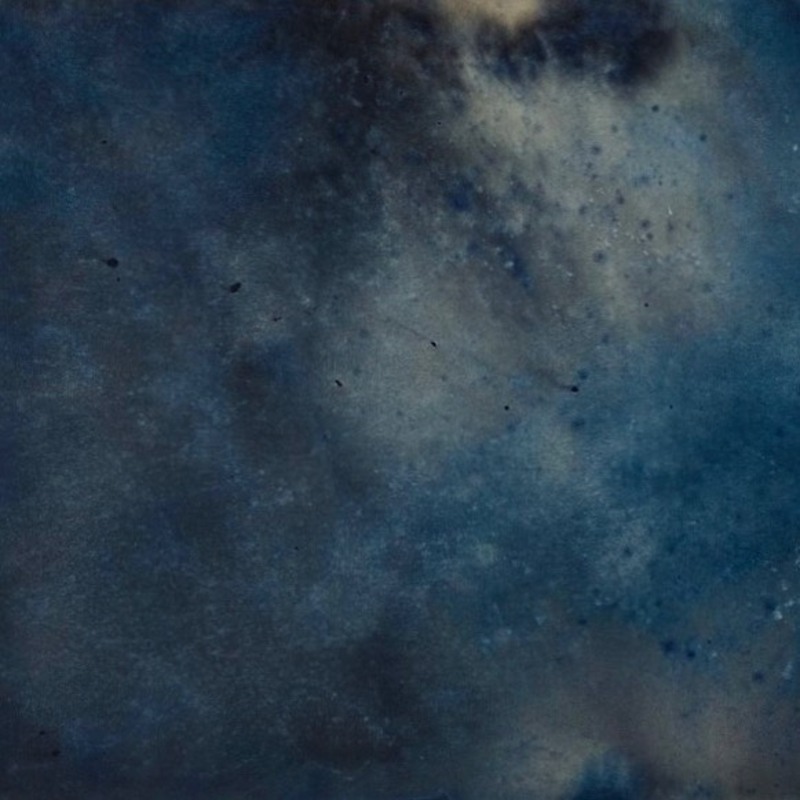 September 7, 2025 - Pentecost + 12 / Season of Creation