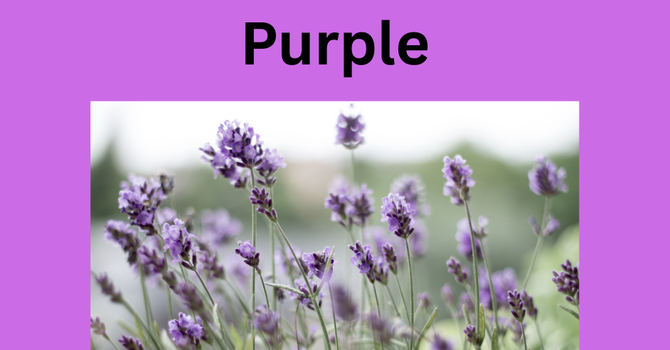 Purple