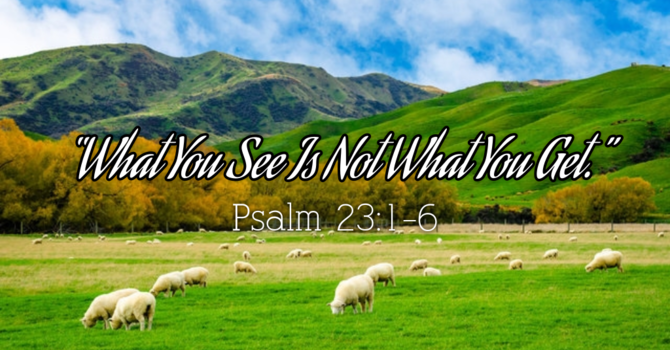What You See is Not What You Get