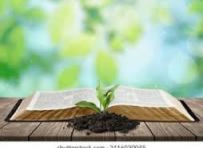 Trusting God to Give us Growth