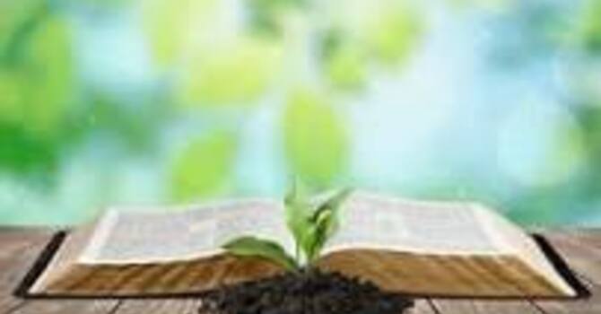 Trusting God to Give us Growth