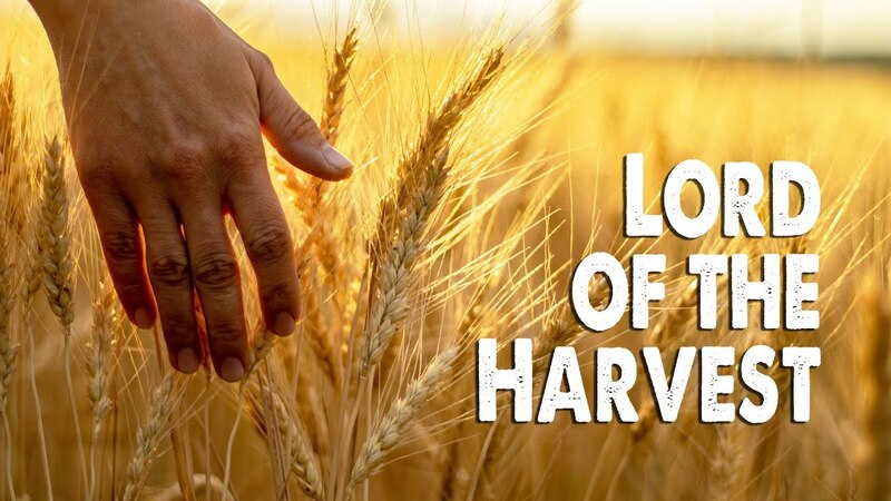 Lord Of The Harvest