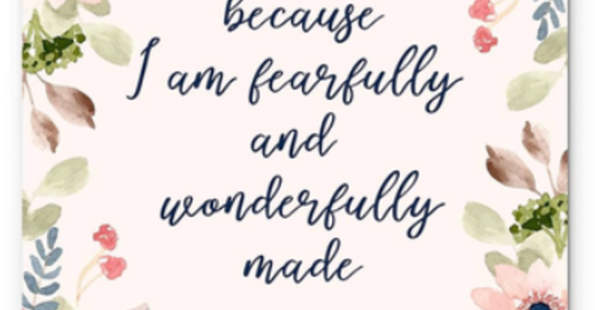 Fearfully & Wonderfully Made