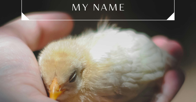 I Will Call Upon the Lord  image