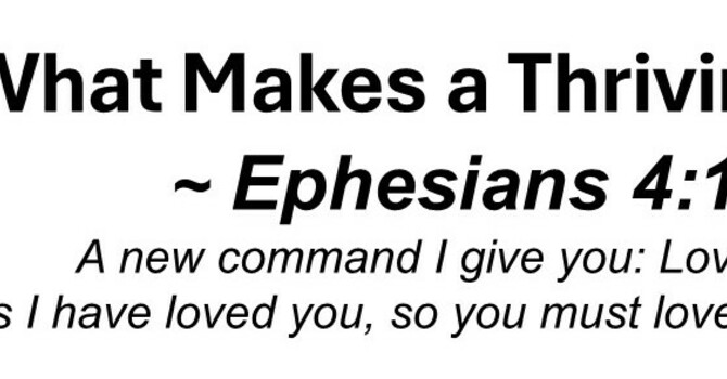 What Makes a Thriving Church?