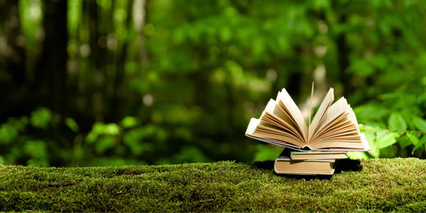 Ah - Summer reading