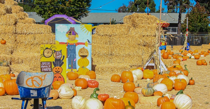 Youth & families visit Kinman Farms Pumpkin Patch