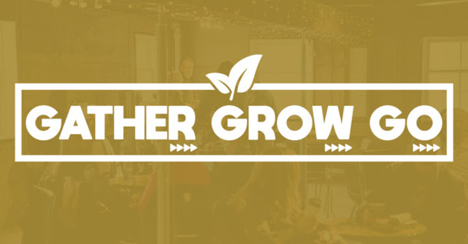 Life Groups Launch