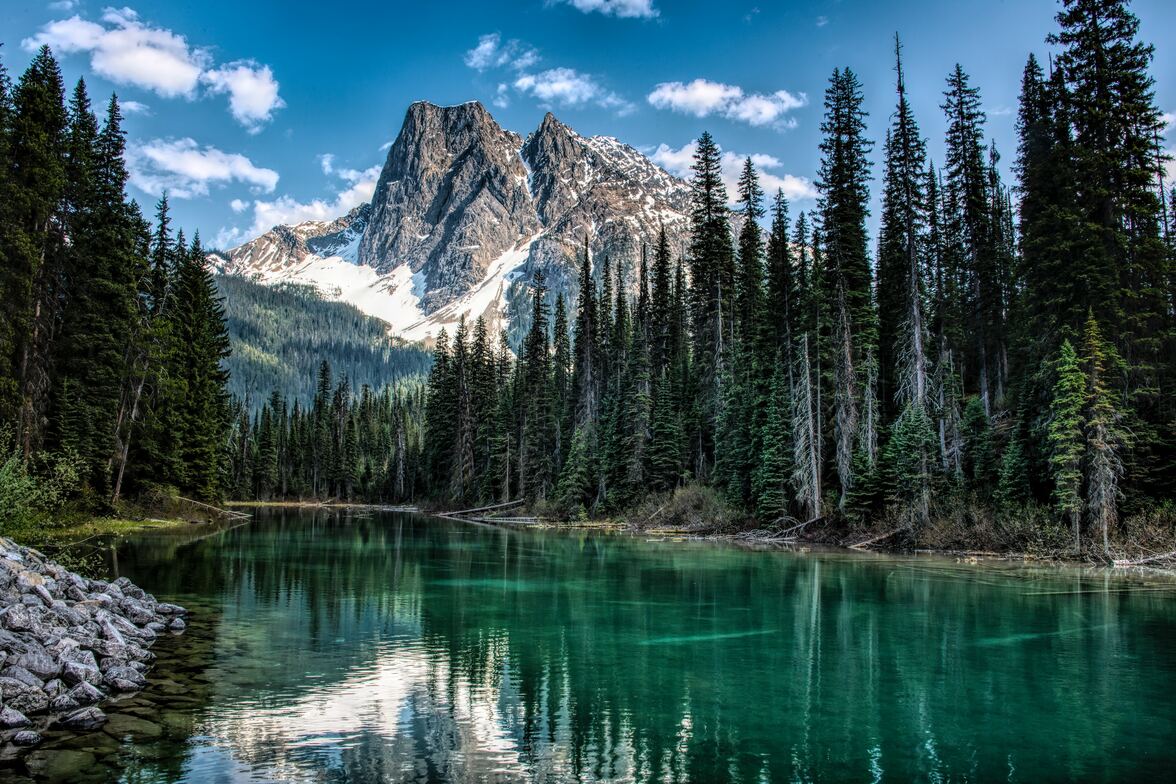 Slideshow image