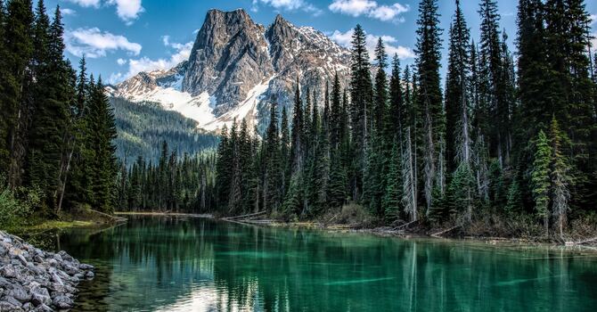 Faithful Participation: Living in God’s Creation  image