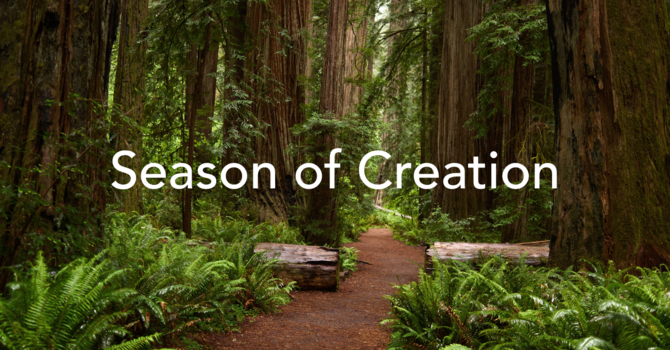 Season of Creation