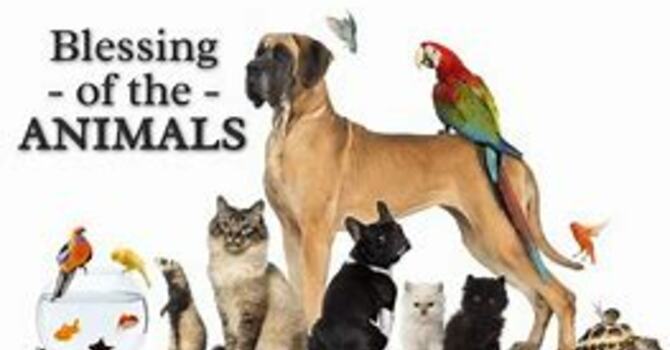 Blessing of the Animals