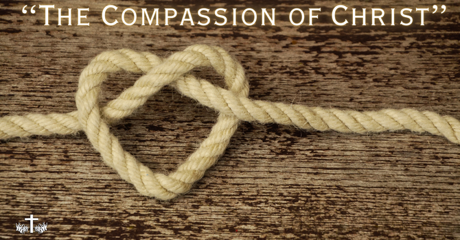 "The Compassion of Christ" image