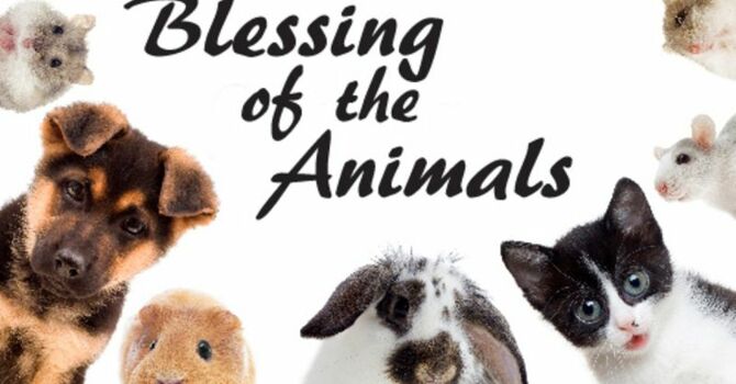 Blessing of the Animals