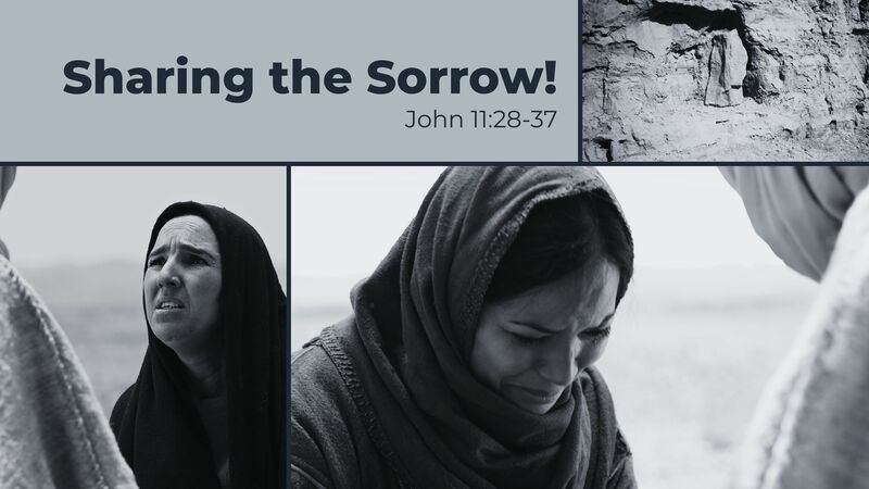 Sharing the Sorrow