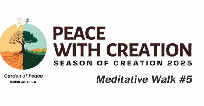 2025 Season of Creation 