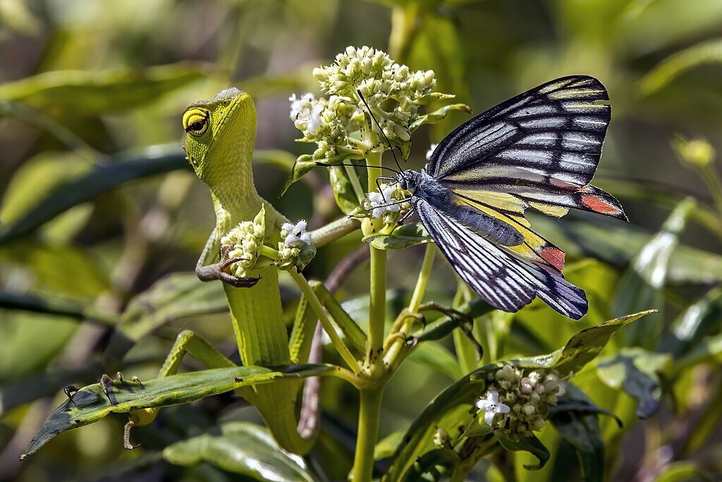 Slideshow image