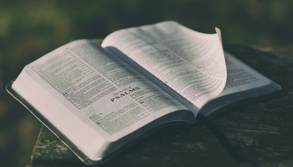 Unleashing the Scriptures