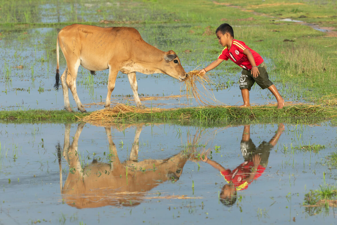 Slideshow image