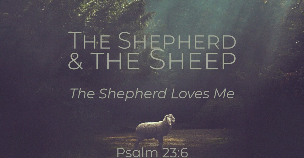 "The Shepherd & the Sheep | The Shepherd Loves Me"