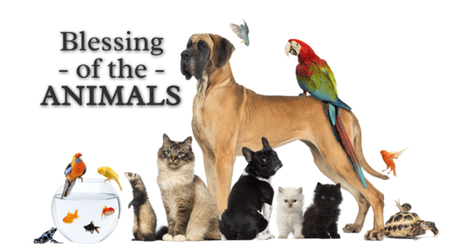 Blessing of the Animals