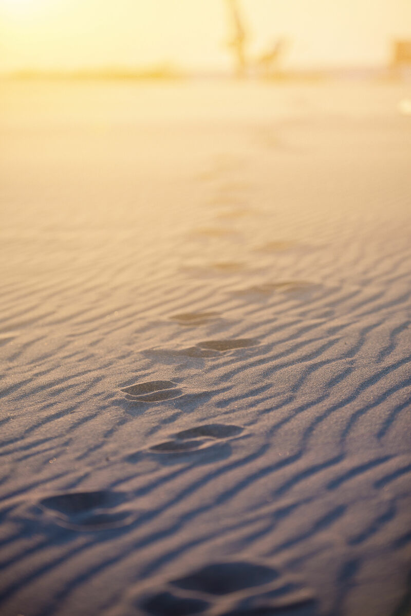 Why Do We Need the 10 Commandments?