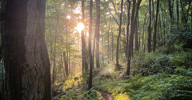 Young Adults' Picnic & Hiking