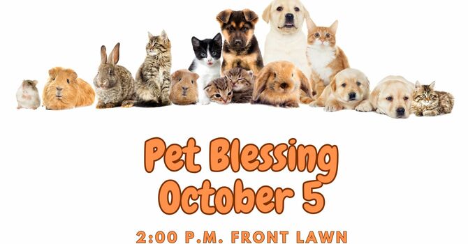 Pet Blessing