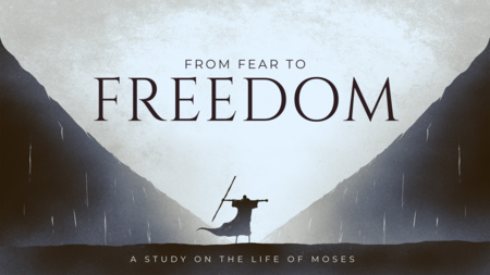 From Fear to Freedom